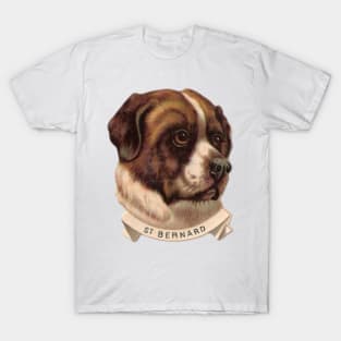 St Bernard Dog T-Shirt